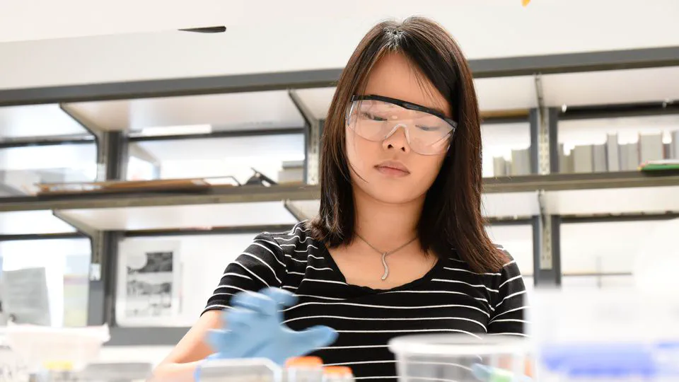 Senior thesis project probes intricacies of groundwater cleanup